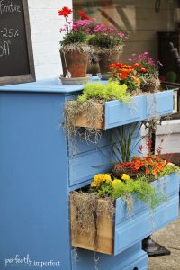 Greek Blue Dresser Turned Planter