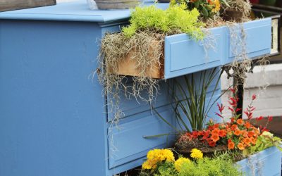 Greek Blue Dresser Turned Planter