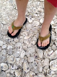 oversized oysters & beach days