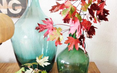 Happy Fall!
