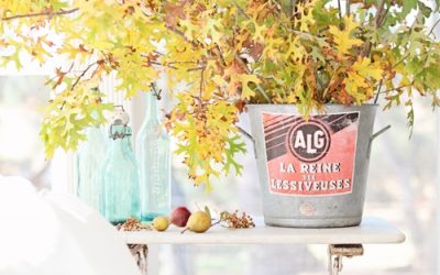 Fall Decorating Ideas & Inspiration
