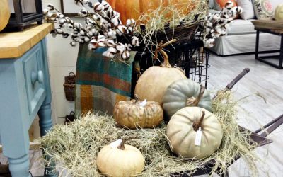 Fall in the Shop & Meet Julie!