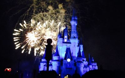 If You & I Went to Disney World…