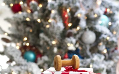 Christmas Home Tour, part 2: The Office