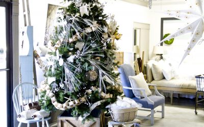 Shop Christmas Displays Peek & a Sale for You…