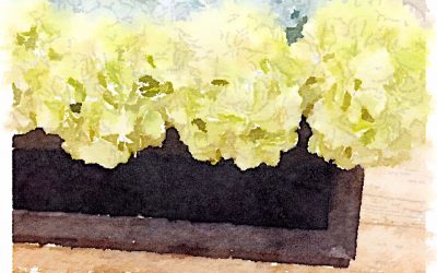Our Life, in Watercolor