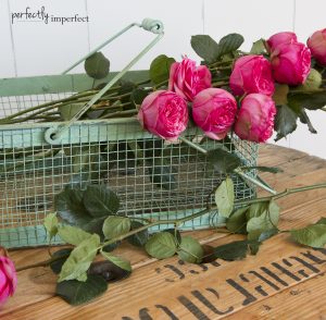 Old Green Paint Basket