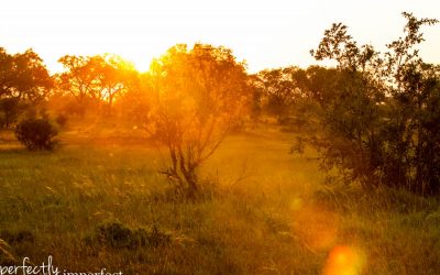 South Africa, Part 1