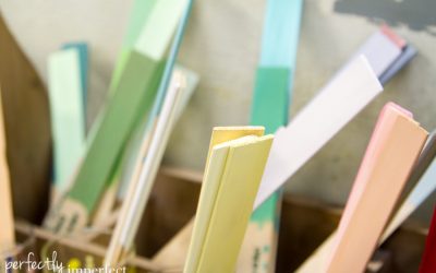 New Paint Displays & Custom Colors