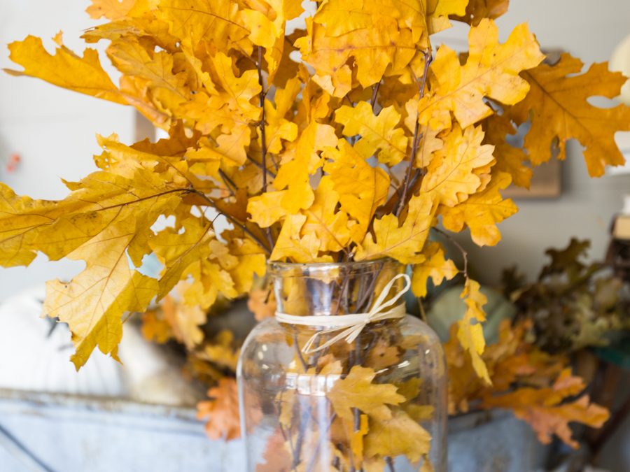 Fall Decorating Sources