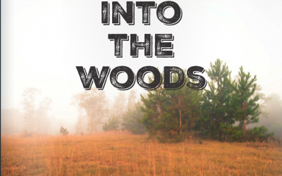 Into the Woods: Holiday Look Book