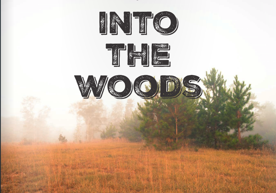 Into the Woods: Holiday Look Book