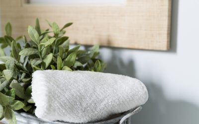 Office Bath Redo & a Coyuchi/Zabada Clean Giveaway