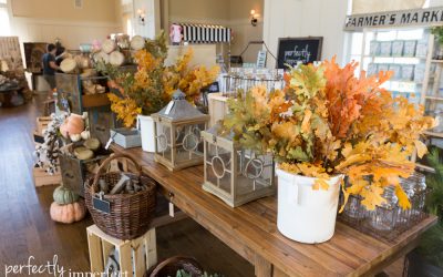 The Market on Chapel Hill Displays