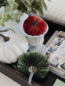 Simple Fall & Halloween Decorating